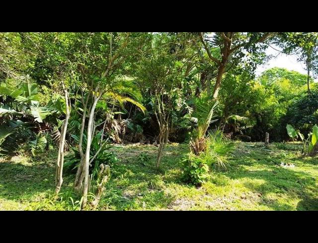 LAND FOR SALE IN PALM BEACH